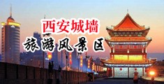 我要插逼网中国陕西-西安城墙旅游风景区